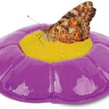 Insect Lore Butterfly Garden Kit with Live Caterpillars – Grow 10 Painted Lady Butterflies - STEM Learning Activity, Habitat with Journal, Stickers, Seeds & Figurines - As Seen on TV
