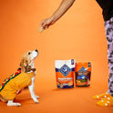 Blue Buffalo Health Bars Crunchy Dog Biscuits, Oven-Baked With Natural Ingredients, Pumpkin & Cinnamon, 16-oz Bag