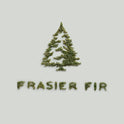 Thymes Frasier Fir Pine Needle Candle – Holiday Candles for Home Scented with Notes of Crisp Siberian Fir, Cedarwood & Sandalwood – Decor – Gifts for Women & Men (6.5 oz)