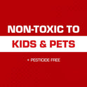 Tomcat Glue Traps Mouse Size with Eugenol for Enhanced Stickiness for Mice, Cockroaches, and Spiders, 6 Traps