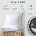 Sasttie Pillows Queen Size Set of 2, Bed Pillows for Side, Back, and Stomach Sleepers - Oeko-Tex Certified Down Alternative Plump Filling - Hotel Quality and Machine Washable, 2 Pack