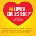 Apple Cinnamon Cheerios, Heart Healthy Gluten Free Breakfast Cereal, Made with Whole Grain Oats, Family Size, 19 oz