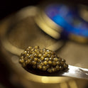 Ossetra Sturgeon Caviar 250g (8.8 oz)