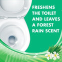 Lysol Toilet Bowl Cleaner Gel, For Cleaning and Disinfecting, Stain Removal, Forest Rain Scent, 24oz (Pack of 2)