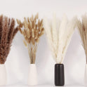 Dried Pampas Grass Decor, 100 Stems Pampas Grass Contains Bunny Tails Dried Flowers, Reed Grass Bouquet for Wedding Boho Flowers Home Table Decor, Rustic Farmhouse Party (17", White and Brown)