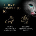 Sheba Perfect Portions Wet Cat Food Pate with Sustainable Salmon, Signature Seafood Entree, and Tender White Fish and Tuna Entree Variety Pack, 2.6 oz. Twin Pack Trays (24 Count, 48 Servings)