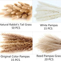 Dried Pampas Grass Decor, 100 Stems Pampas Grass Contains Bunny Tails Dried Flowers, Reed Grass Bouquet for Wedding Boho Flowers Home Table Decor, Rustic Farmhouse Party (17", White and Brown)
