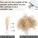 Dried Pampas Grass Decor, 100 Stems Pampas Grass Contains Bunny Tails Dried Flowers, Reed Grass Bouquet for Wedding Boho Flowers Home Table Decor, Rustic Farmhouse Party (17", White and Brown)