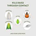 Garden Safe 32 oz. Insecticidal Soap Ready-to-Use, 1 Count (Pack of 1)