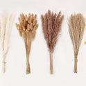 Dried Pampas Grass Decor, 100 Stems Pampas Grass Contains Bunny Tails Dried Flowers, Reed Grass Bouquet for Wedding Boho Flowers Home Table Decor, Rustic Farmhouse Party (17", White and Brown)