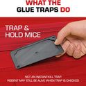 Tomcat Glue Traps Mouse Size with Eugenol for Enhanced Stickiness for Mice, Cockroaches, and Spiders, 6 Traps