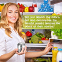 Purriko Refrigerator Deodorizer,Lasts up to 10 Years,Refrigerator Odor Eliminator,Fridge Deodorizer,More Effective Than Baking Soda Bamboo Air Purifying Bags