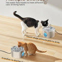 Cat Water Fountain Stainless Steel: 74oz/2.2L Cat Fountain for Drinking - Pet Water Fountain for Cats Inside - Quiet Cats Water Bowl Dispenser - Kitty Drinking Fountains - for Pets& Small Animals