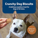 Blue Buffalo Health Bars Crunchy Dog Biscuits, Oven-Baked With Natural Ingredients, Pumpkin & Cinnamon, 16-oz Bag