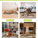 Cat Scratching Board, Corrugate Cat Scratcher for Indoor Cats with Catnip, Cat Scratch Pad with Premium Scratch Textures Design, Cardboard Cat Scratcher with Double-Sided Usability (Pack of 2)
