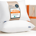 Bedsure Pillows Queen Size Set of 2 - Soft Bed Pillows for Sleeping 2 Pack, Fluffy and Supportive, Hotel Quality, Original Down Alternative Filling for Side, Back Sleepers