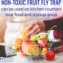 Terro Fruit Fly Traps for Indoors (4 Pack) + 180 Days of Lure Supply