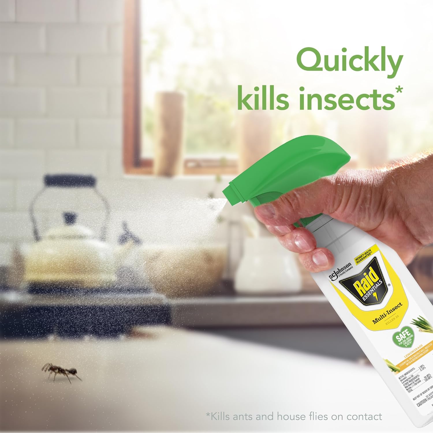 Raid Essentials Multi-Insect Killer Spray Bottle, Child and Pet Safe, for Indoor Use, Lemongrass Scent, 12 fl oz
