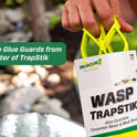 TrapStik for Wasps, Mud Daubers, Carpenter Bees – 2 Pack
