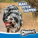 Chuckit! Dog Ball Launcher - Sport 12" with Medium (2.5"), Dog Fetch Ball Thrower, For Dogs 20-60 Pounds, Made in USA
