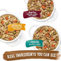 Purina Beneful Gravy Wet Dog Food Variety Pack, Prepared Meals Stew - (12) 10 oz. Tubs