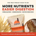 Sunrise Flour Mill Heritage Organic Whole Wheat Flour - 5 lbs | Milled from red hard wheat within 10 Days | Easier to Digest with Less Bloating | No Bleaching | Organic whole wheat bread flour