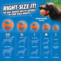 Chuckit! Ultra Ball Dog Toy - Medium Bouncy Fetch Balls For Dogs 20-60 lbs - Made from Durable Rubber - Floating Water Pet Toys - Size Medium - 2.5-inch Diameter - Pack of 2