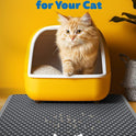 Cat Litter Mat - 23.2'' x 14.6'' Small Litter Trapping Mat, Easy to Clean Litter Box Mat, Waterproof, Urine-Proof, Non-Slip Kitty Litter Mats for Floor, Grey