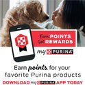 Purina Cat Chow Naturals With Added Vitamins, Minerals and Nutrients Dry Cat Food, Naturals Original - 13 lb. Bag