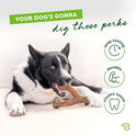 Benebone Wishbone Durable Dog Chew Toy for Aggressive Chewers, Real Bacon, Made in USA, Medium