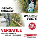 Chapin USA 20004 Pump Sprayer, 1 Gallon, Lawn and Garden, Hand Pressurized, Anti-Clog Filter, Adjustable Spray Nozzle, Spraying Plants, Watering, Weeds, Fertilizer and Pests, Translucent