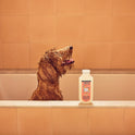 MRS. MEYER'S Clean Day 3 in 1 Dog Shampoo, White Peach Scent, 14oz