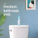 Febreze Air Mist Air Freshener Spray, Odor-Fighting Room Spray, Air Fresheners for Home and Bathroom and Kitchen, Aerosol Can, Linen & Sky Scent, 8.8oz, 2 Count