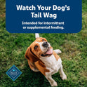 Blue Buffalo Health Bars Crunchy Dog Biscuits, Oven-Baked With Natural Ingredients, Pumpkin & Cinnamon, 16-oz Bag