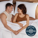 Bedsure Pillows Queen Size Set of 2 - Soft Bed Pillows for Sleeping 2 Pack, Fluffy and Supportive, Hotel Quality, Original Down Alternative Filling for Side, Back Sleepers