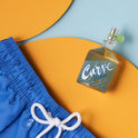 Curve Men's Cologne Fragrance Spray, Casual Cool Day or Night Scent, Curve Wave, 4.2 fl oz