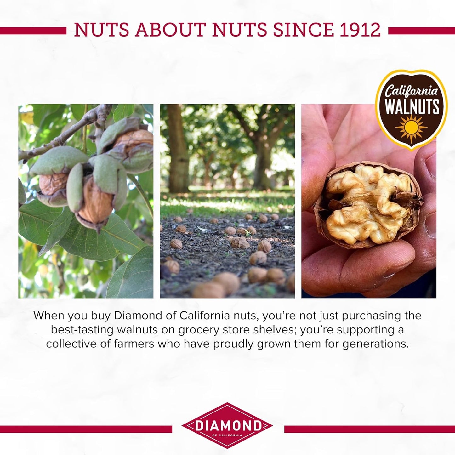 Diamond of California Shelled Walnut Halves and Pieces, Pre-Shelled Raw Walnuts for Baking, Snacking and Salads, 32 oz.
