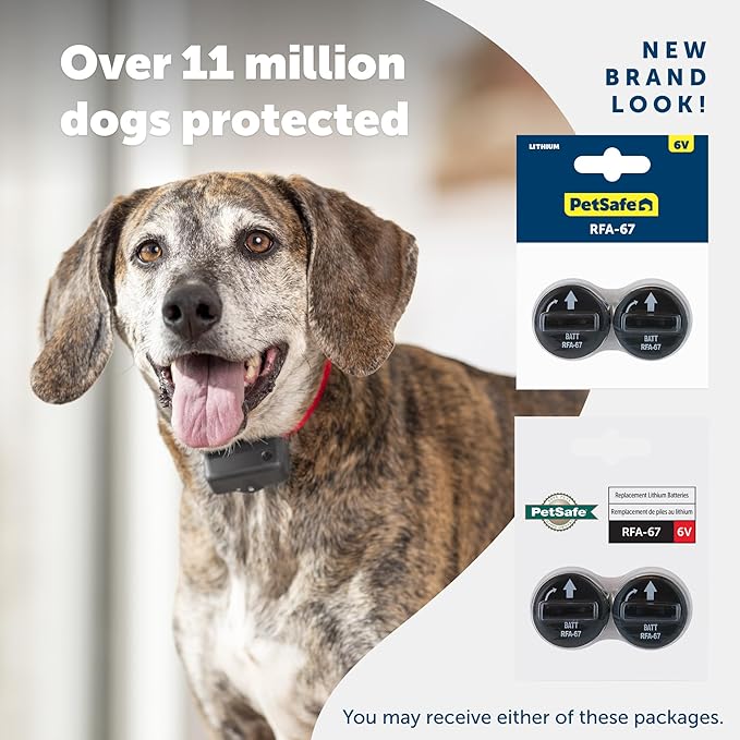PetSafe Dog Collar Batteries (2 Pack) Dog Collar Battery Waterproof Lithium Metal Product, Rfa-67d-11