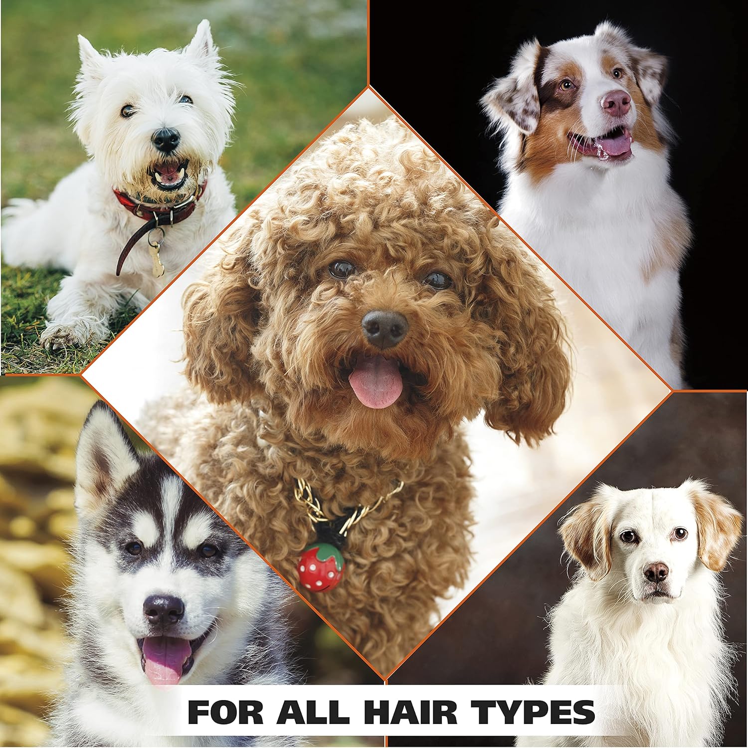 Wahl USA Dry Skin & Itch Relief Pet Shampoo for Dogs – Oatmeal Formula with Coconut Lime Verbena Scent - 64 Oz - Model 821004-050