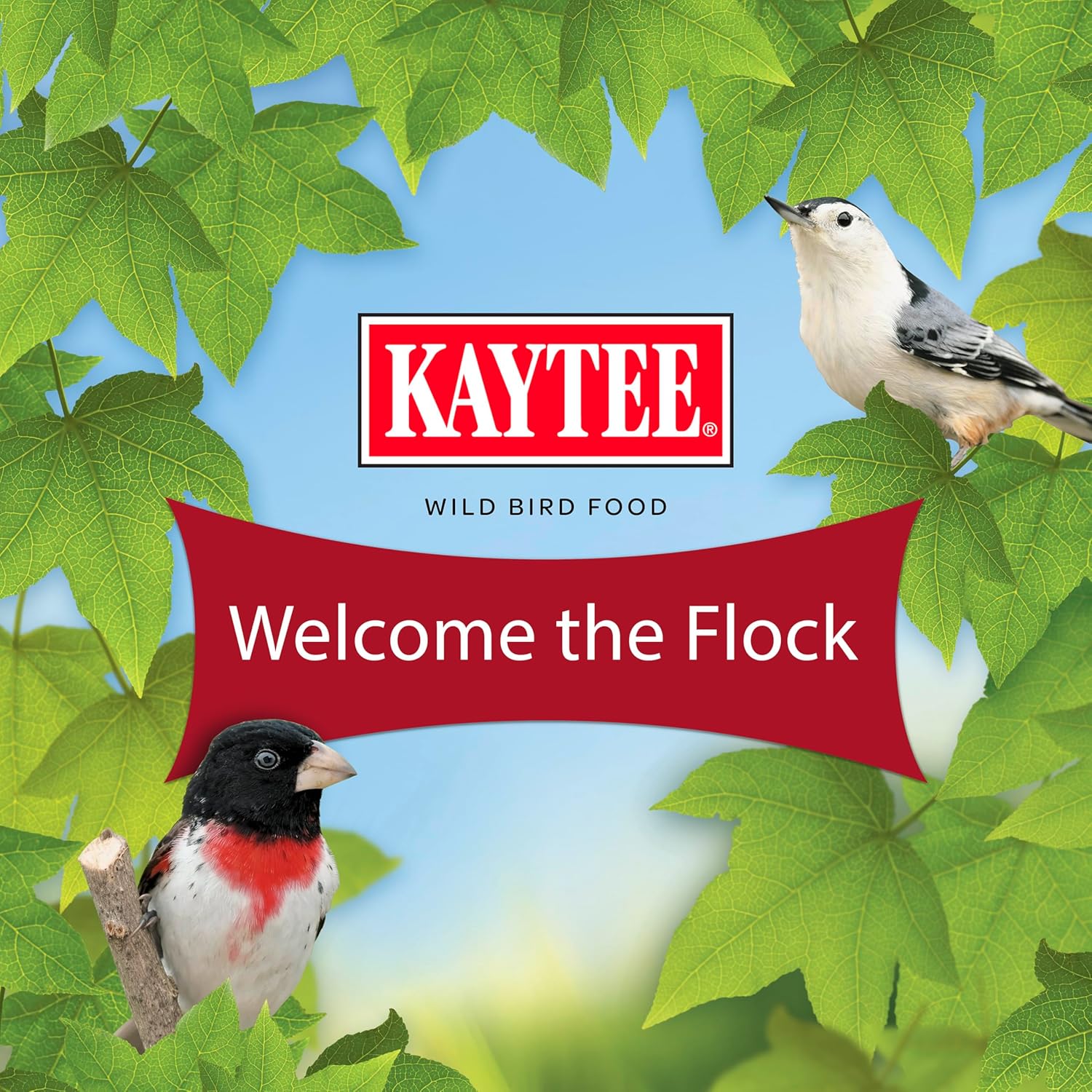 Kaytee All American Wild Bird Food Seed Blend, 5 Pound