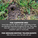 Spectracide Carpenter Bee and Ground Nesting Yellow Jacket Foaming Aerosol, 16-Ounce